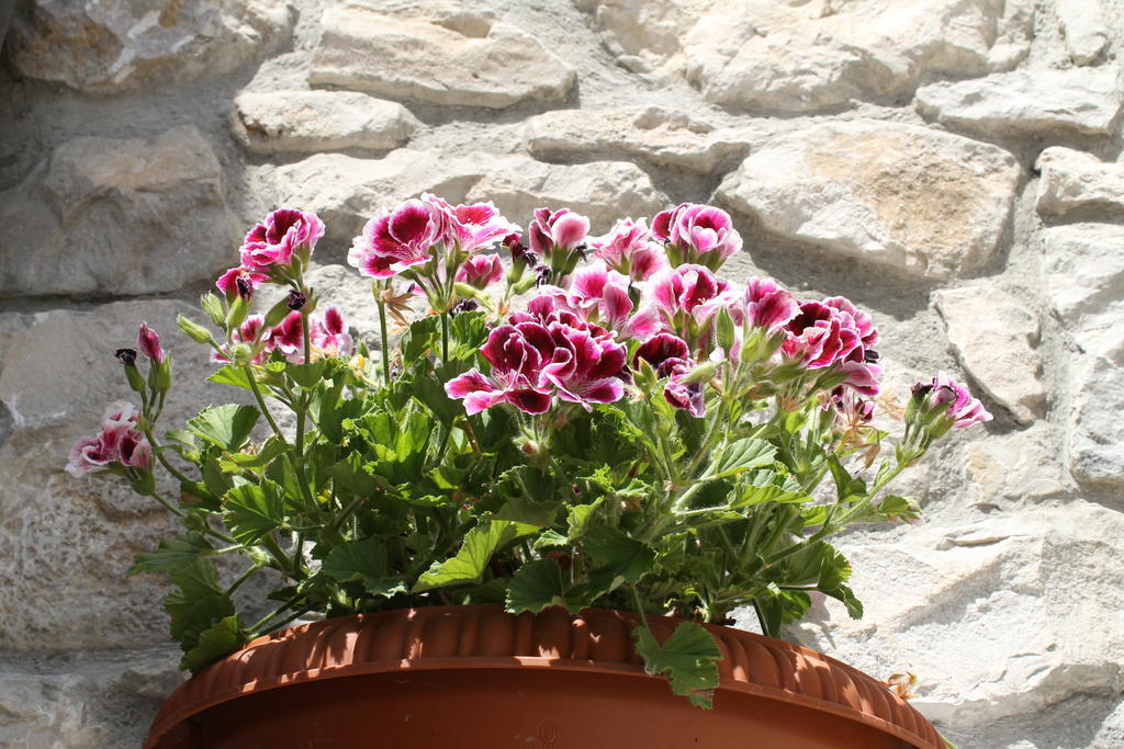 Casa Vacanze Caccamo Santa Lucia Luaran gambar